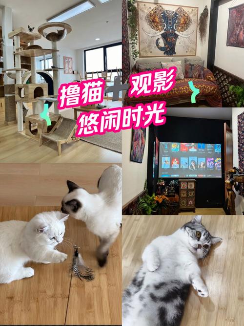 老湿午夜影院的相关介绍