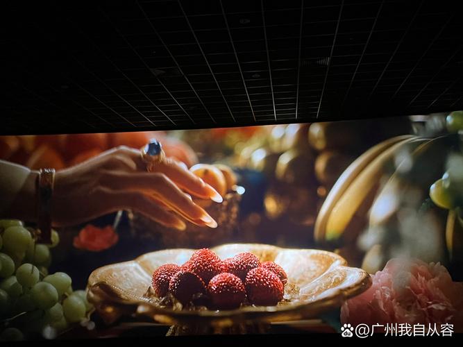 撸撸射影院的相关介绍
