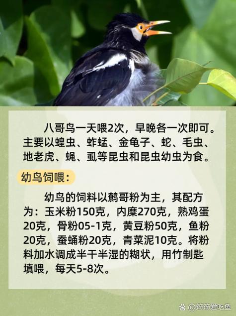 教室啪啪啪小说的相关介绍