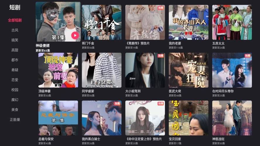 亚洲精品少妇久久的相关介绍