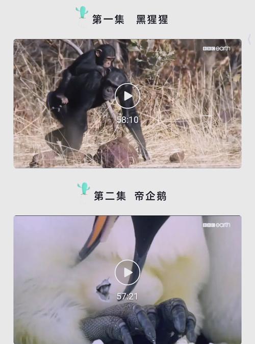 熟女人妻中文有码的相关介绍