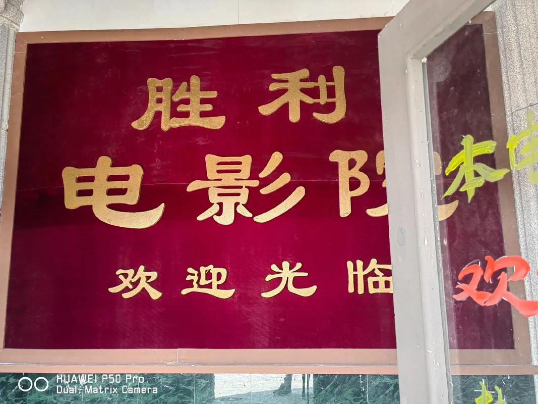 平湖银河电影院的相关介绍