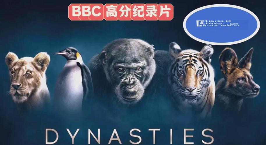 国产美女干逼网站的相关介绍