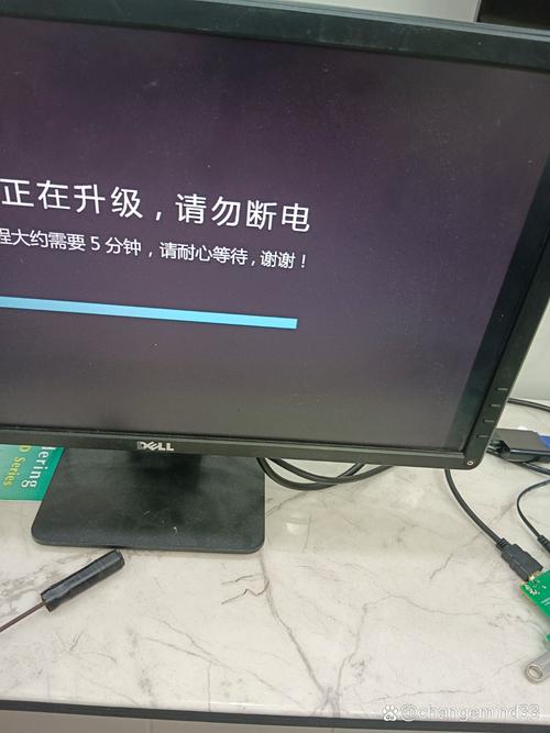 东宫电影院的相关介绍