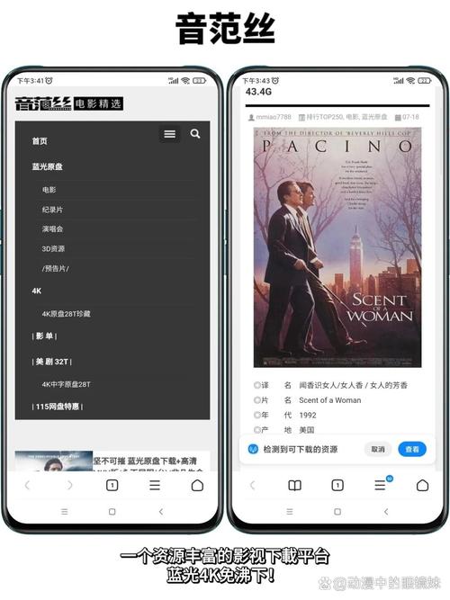 欧美美女h的相关介绍