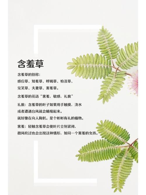 美女老师被按着操的相关介绍