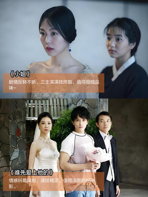 半岛影院的相关介绍