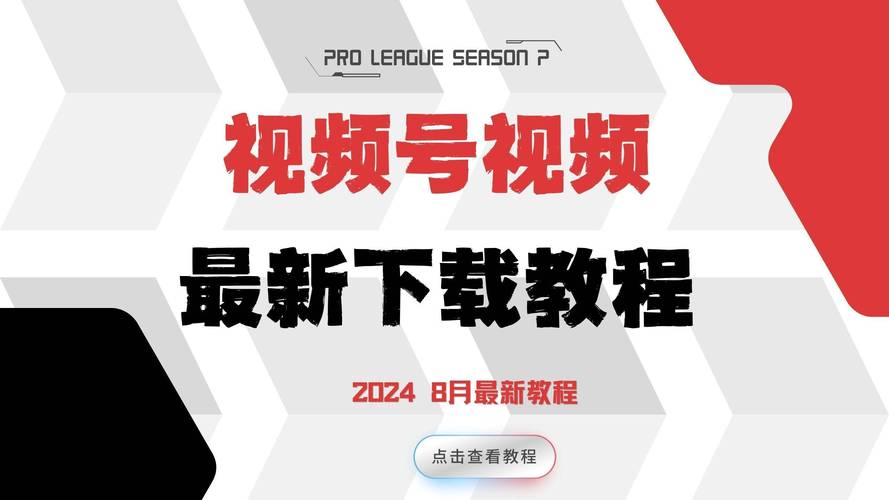 啪啪啪文章老师的相关介绍