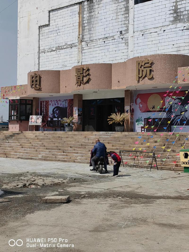老司机a湿影院的相关介绍