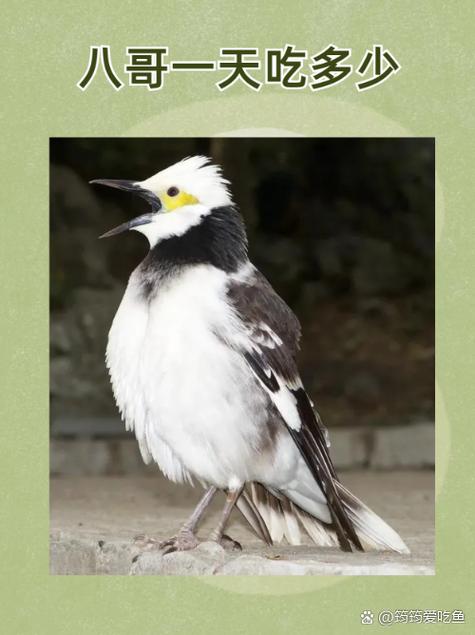 87影院1的相关介绍