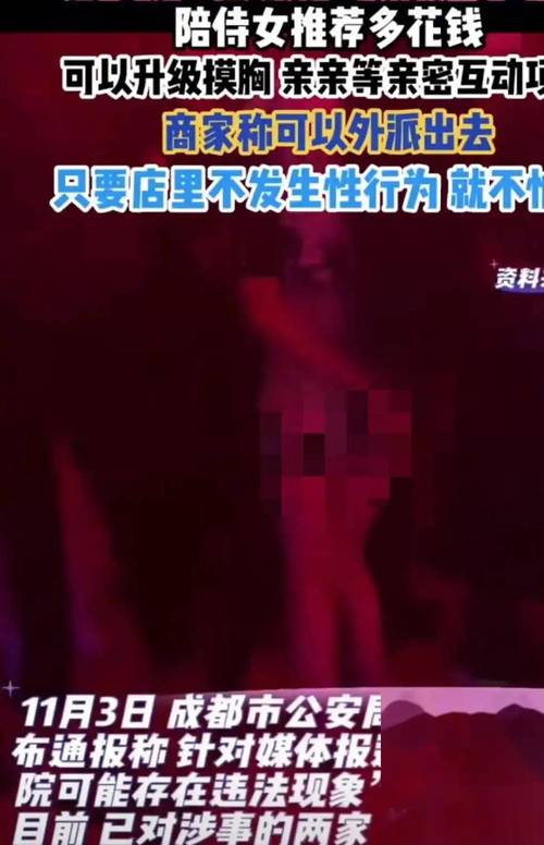 胖女人黄色录像的相关介绍