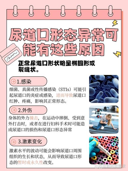女教师在线观电影院的相关介绍