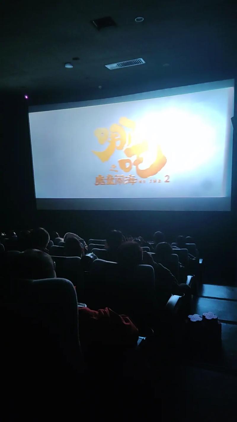aaaaaa内射大片毛片的相关介绍