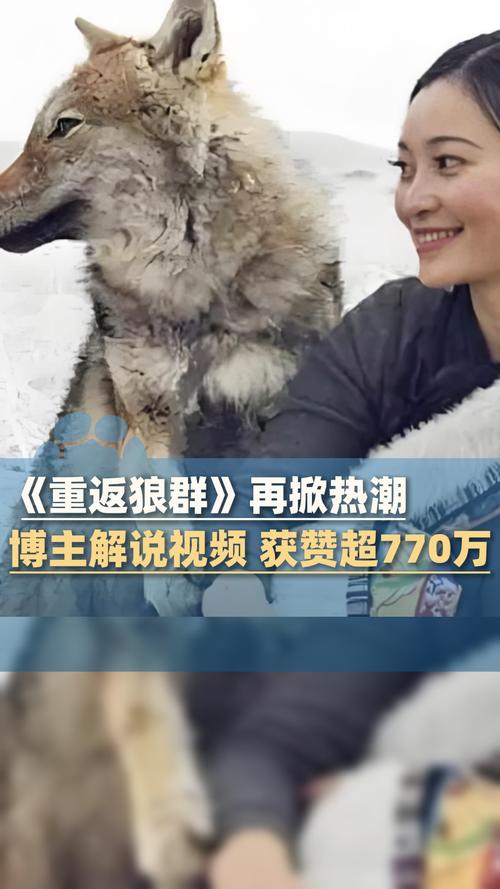 视频网站app下载的相关介绍