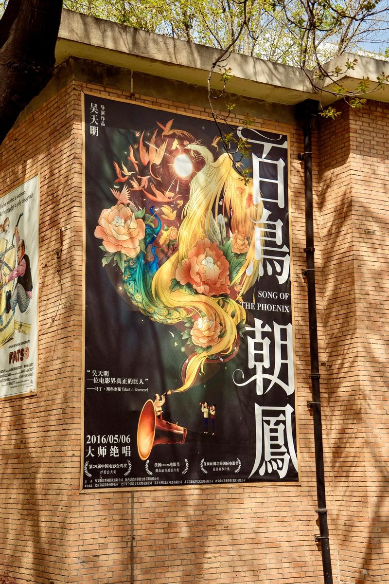 黄片久久久的相关介绍