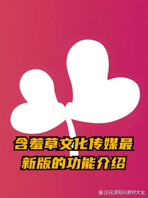 美女老师被我操的相关介绍