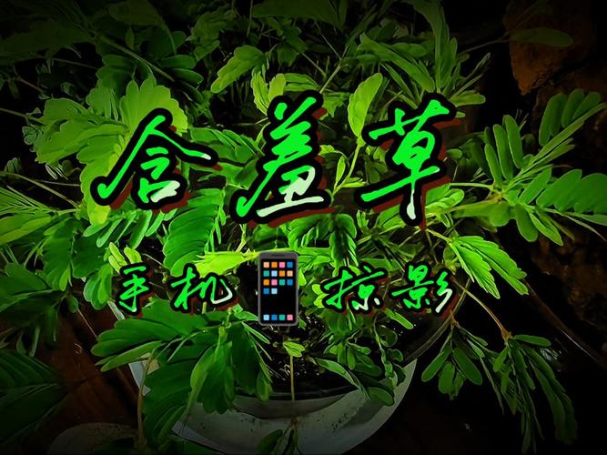 久久精品女人18毛片水多国产的相关介绍