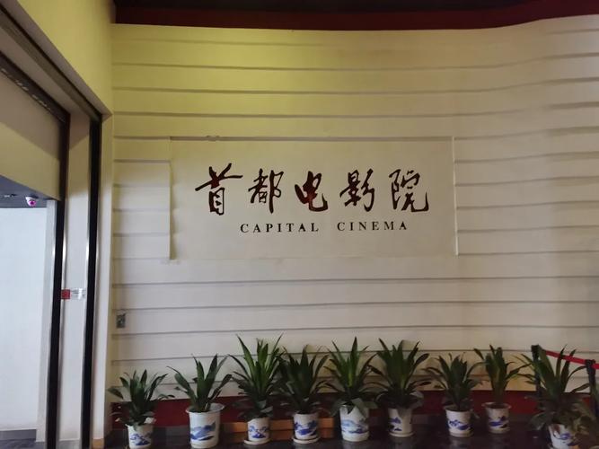 欧美mv日韩mv国产一区二区的相关介绍
