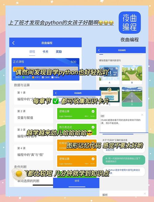 顶级女人在线观看免费的相关介绍