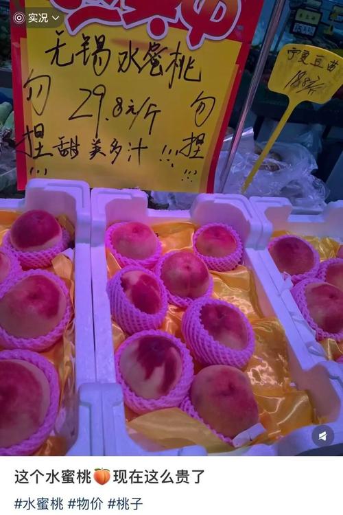 偷拍少妇精品二区的相关介绍