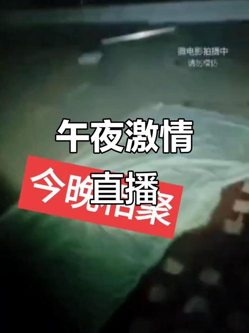 国产精品久久久久久不久的相关介绍