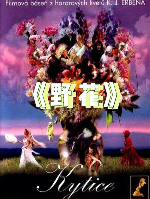 白丝av在线播放的相关介绍