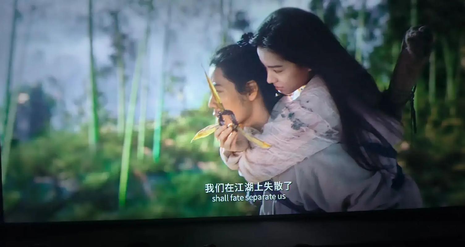 白川恭子影院的相关介绍