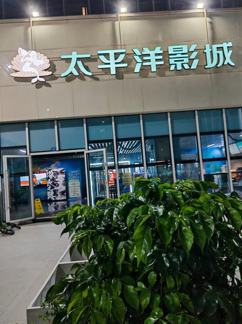 下载app全部视频的相关介绍