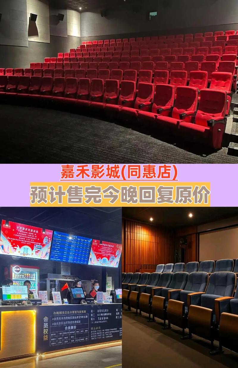 桃源影院网的相关介绍