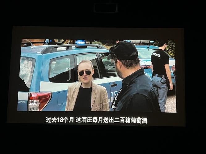中年人妻,耸动,激烈,官场小说的相关介绍