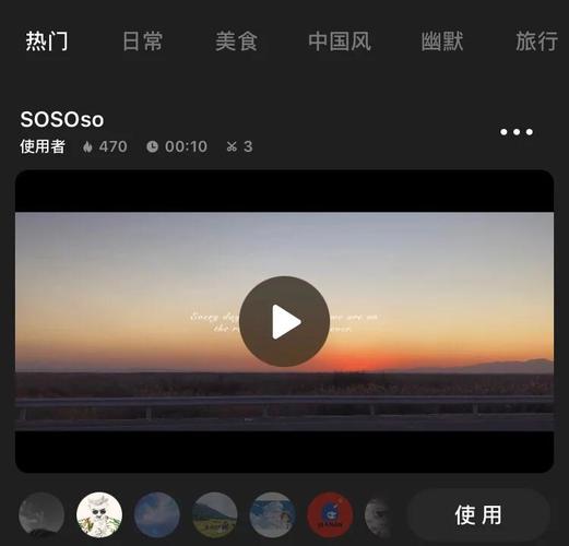 琪琪电影院手机网的相关介绍