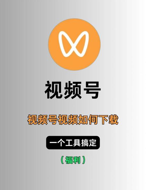 极品人妻酒店露脸的相关介绍