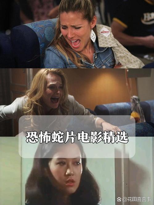 一年级下册18棉花姑娘的相关介绍