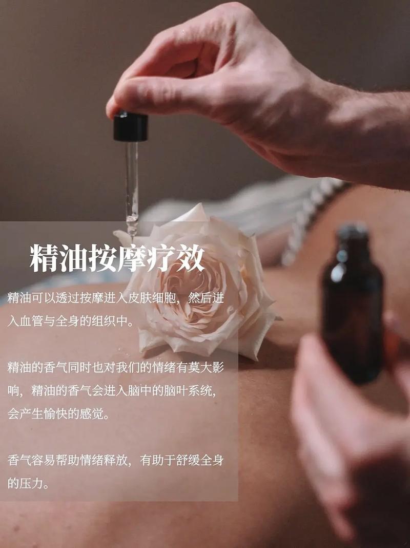 神马影院我不的相关介绍