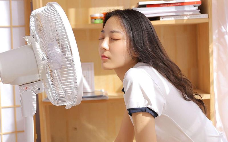 欧美人妻一区二区三区三州的相关介绍