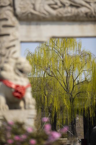 老湿机影院视费x看的相关介绍