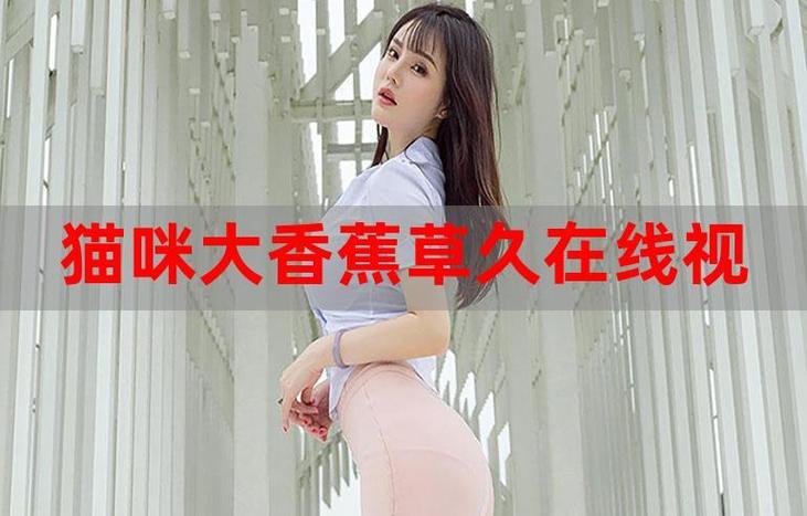 草根影院的相关介绍