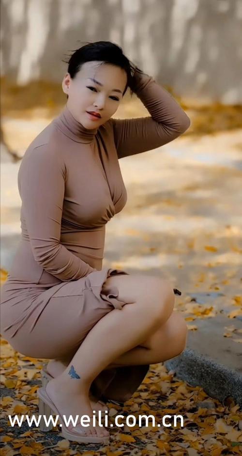 91精品人妻毛片在线的相关介绍