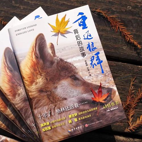 成年人av毛片的相关介绍