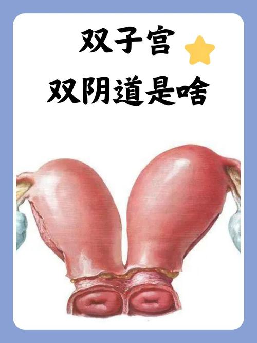 美女老师被我爆操的相关介绍