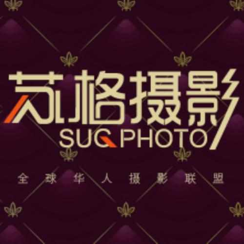 播放一个毛片的相关介绍