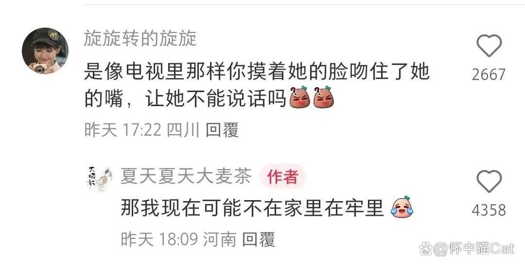4080新视觉影院手机的相关介绍
