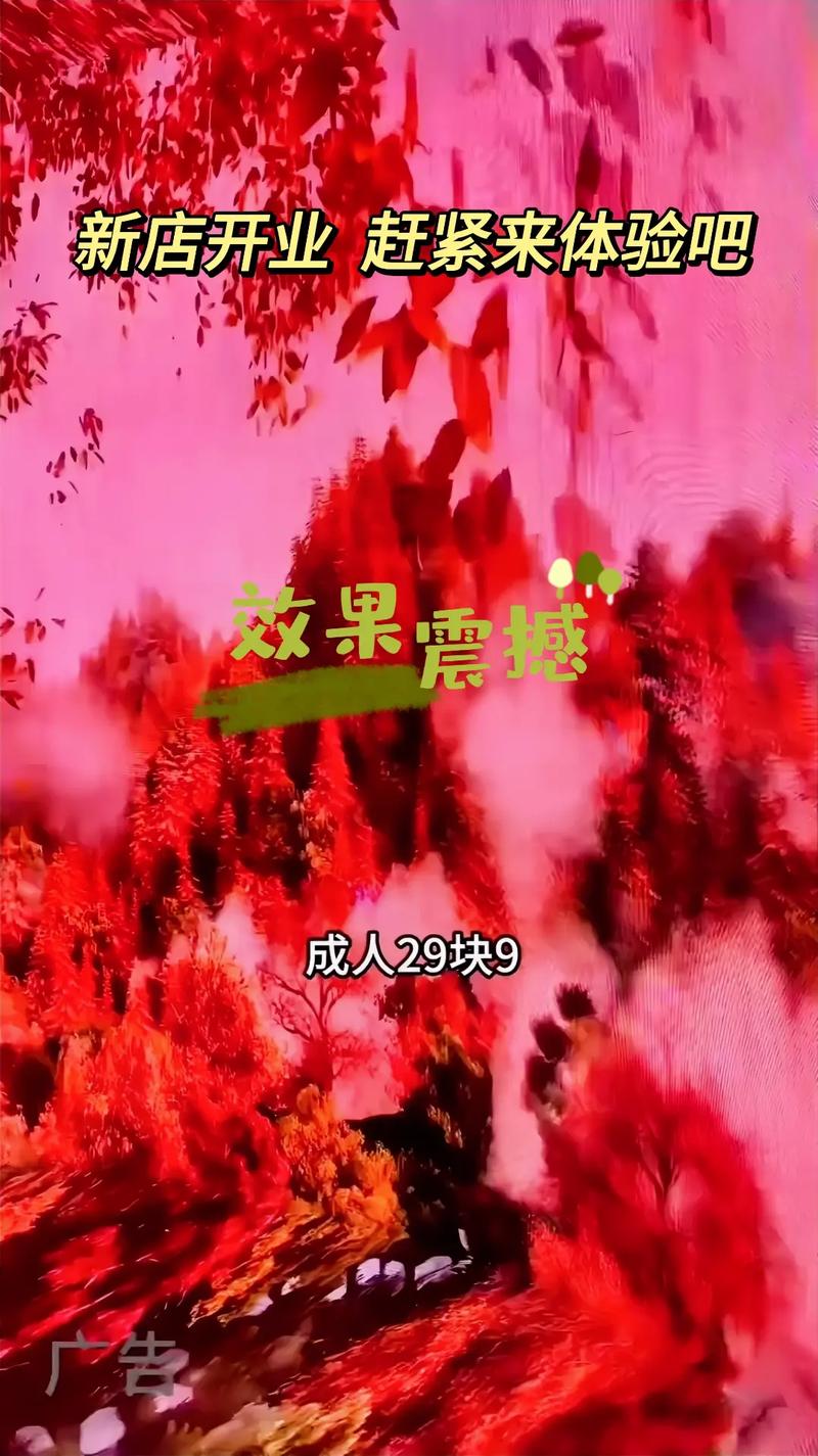 1000部av毛片在线播放的相关介绍
