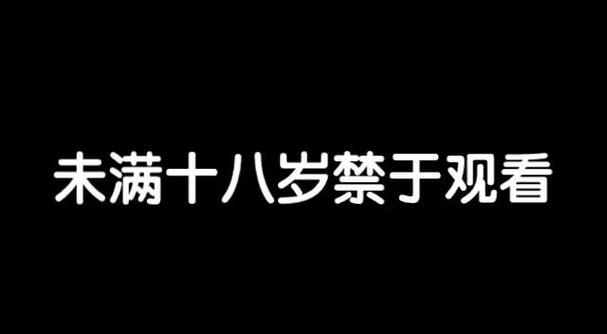 086中国影院的相关介绍