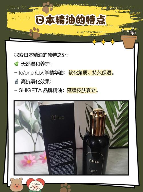 国产欧美一区二区在线的相关介绍