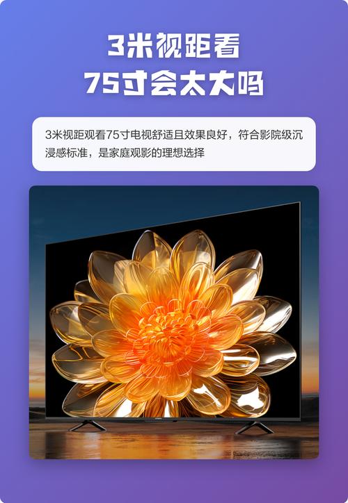 点播影院的相关介绍