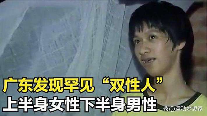 未提供的相关介绍