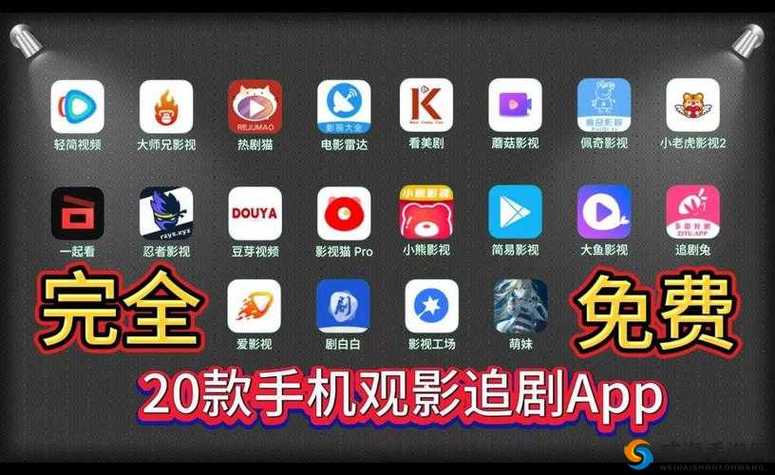 老湿影院费全过程免费的相关介绍