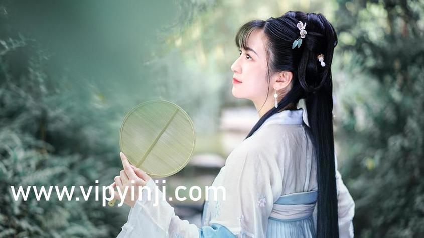 东北熟女毛片的相关介绍