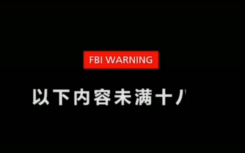 成人av毛片网的相关介绍